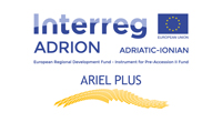 ariel-plus-logo-web