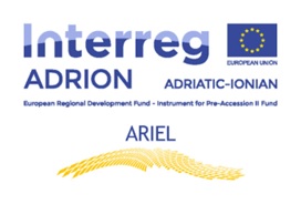 logo ariel