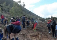 Δενδροφύτευση με πολλαπλούς στόχους από την Περιφέρεια Δυτικής Ελλάδας και συνεργαζόμενους φορείς στο Άλσος Γηροκομειού στην Πάτρα