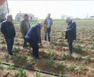 Ξεκίνησε από τον ΕΛΓΑ η καταγραφή των ζημιών στις καλλιέργειες Δυτικής Αχαΐας και Ηλείας