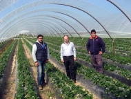 Περιφέρεια Δυτικής Ελλάδας: Συνάντηση Γιώργου Αγγελόπουλου με ομάδες παραγωγών φράουλας